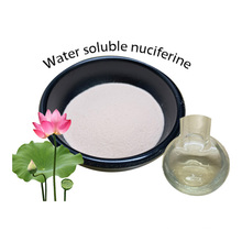 Natural Raw Material 5% Water Soluble Nuciferine for Slimming